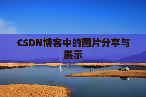 CSDN博客中的图片分享与展示